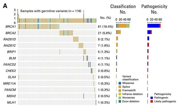 Spectrum of germline variants in our cohort and statistics on variant classification and pathogenicity categories. BRCA1, BRCA2, and RAD51D are among the top three genes.